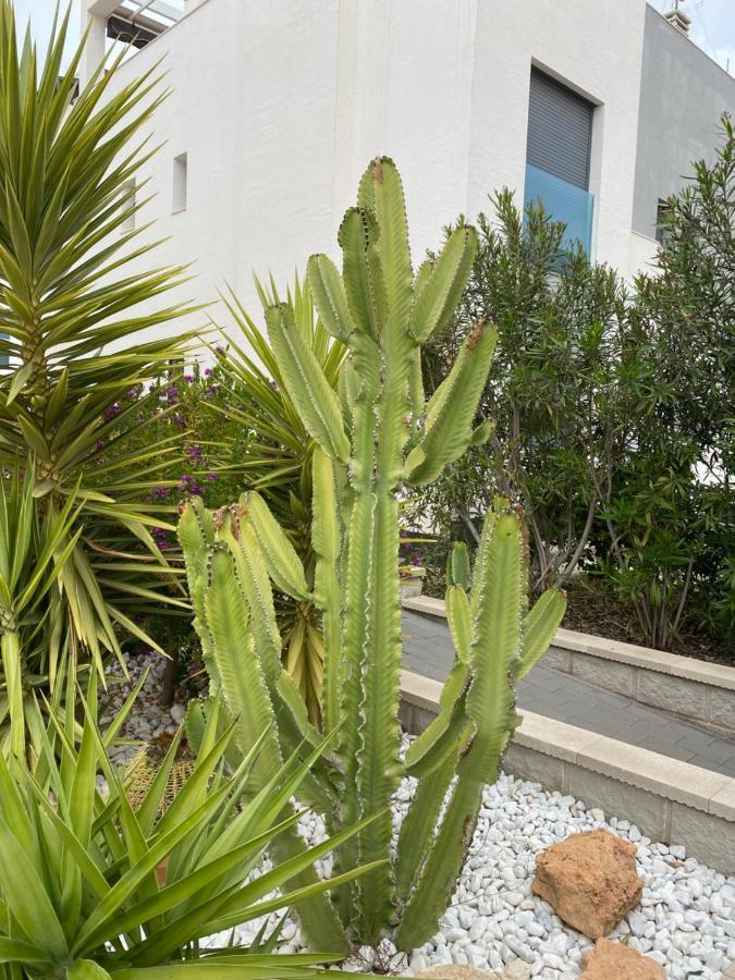 Oasis Beach Apartments Alicante Esterno foto