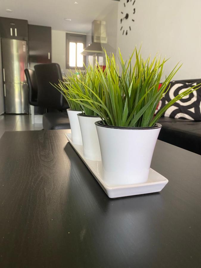 Oasis Beach Apartments Alicante Esterno foto