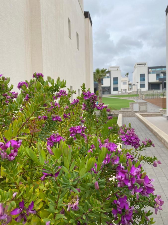 Oasis Beach Apartments Alicante Esterno foto